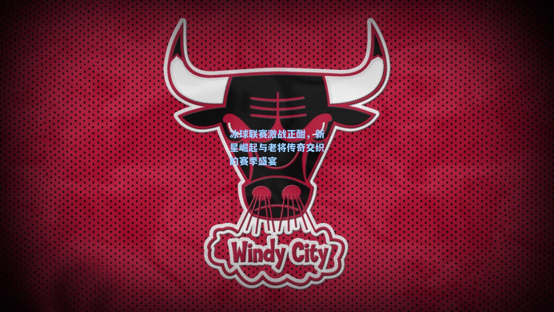 冰球联赛激战正酣，新星崛起与老将传奇交织的赛季盛宴