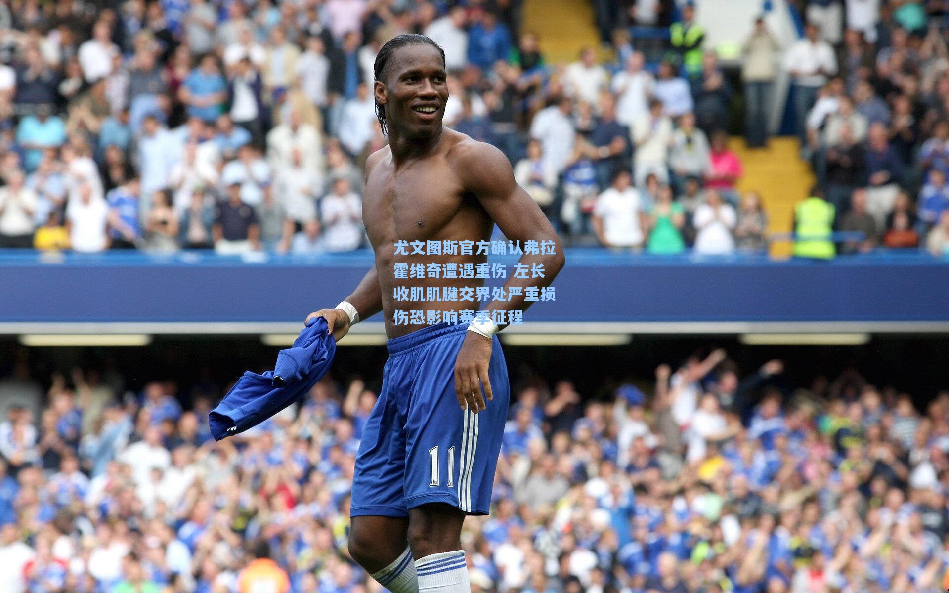 尤文图斯官方确认弗拉霍维奇遭遇重伤 左长收肌肌腱交界处严重损伤恐影响赛季征程